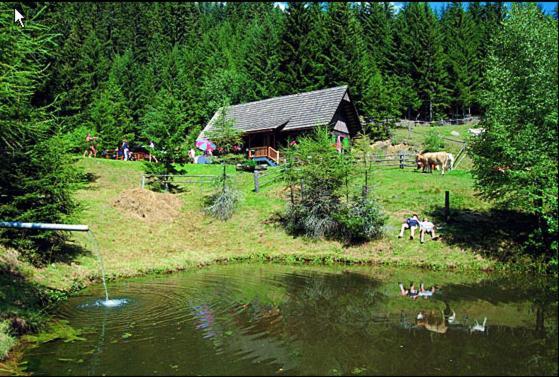 Panoramadorf Saualpe Hotel Eberstein Luaran gambar