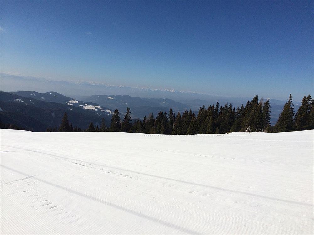Panoramadorf Saualpe Hotel Eberstein Luaran gambar